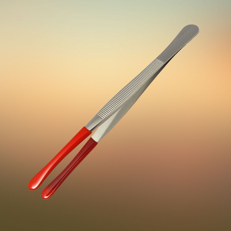 Münzen Pinzette 12 cm  vernickelt