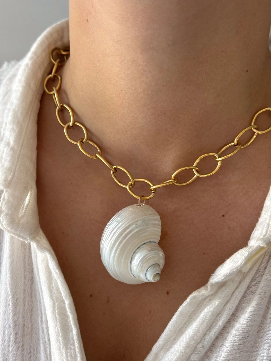 Turbo Shell Necklace