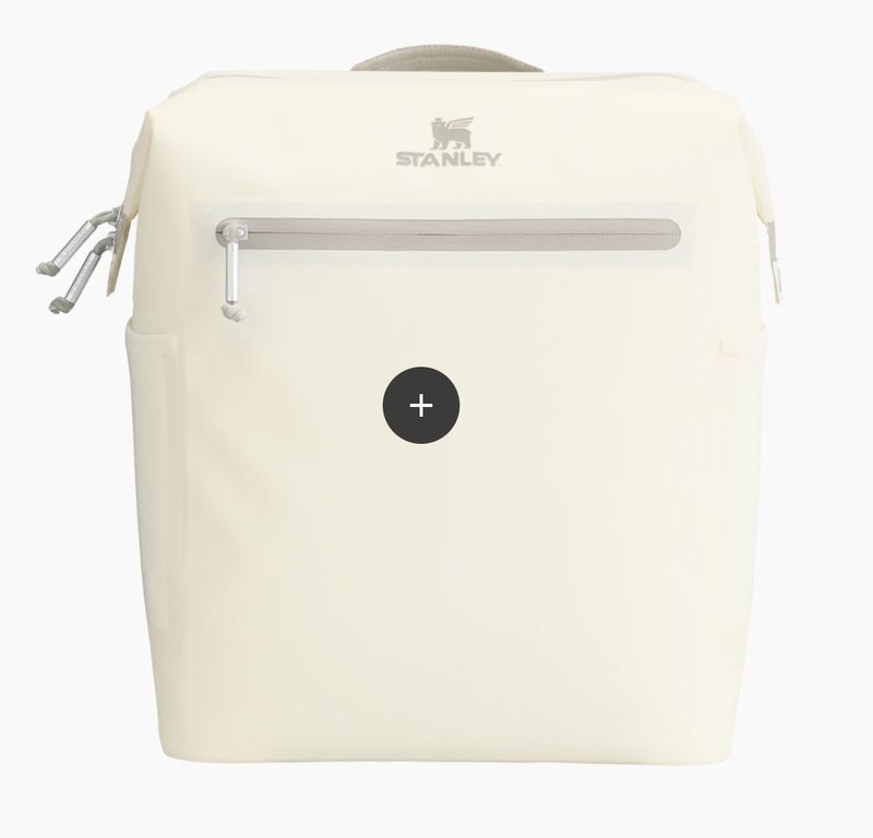 The All Day Madeleine Midi Cooler Backpack