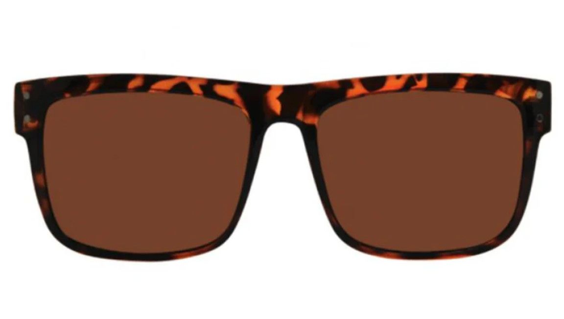 V Lander Sunglasses Tort/Brown