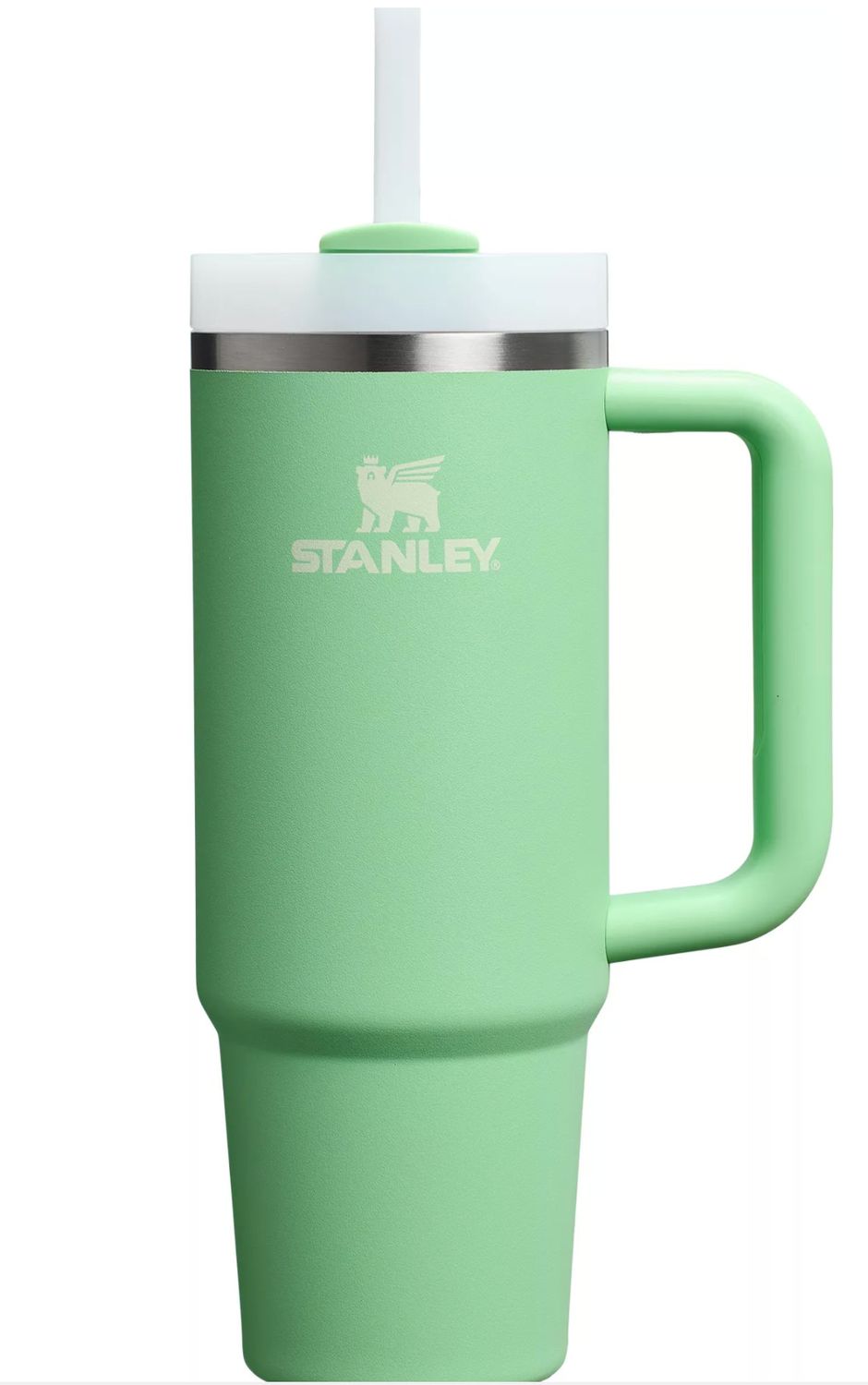 The Quencher H2.0 Flowstate Tumbler Pistachio