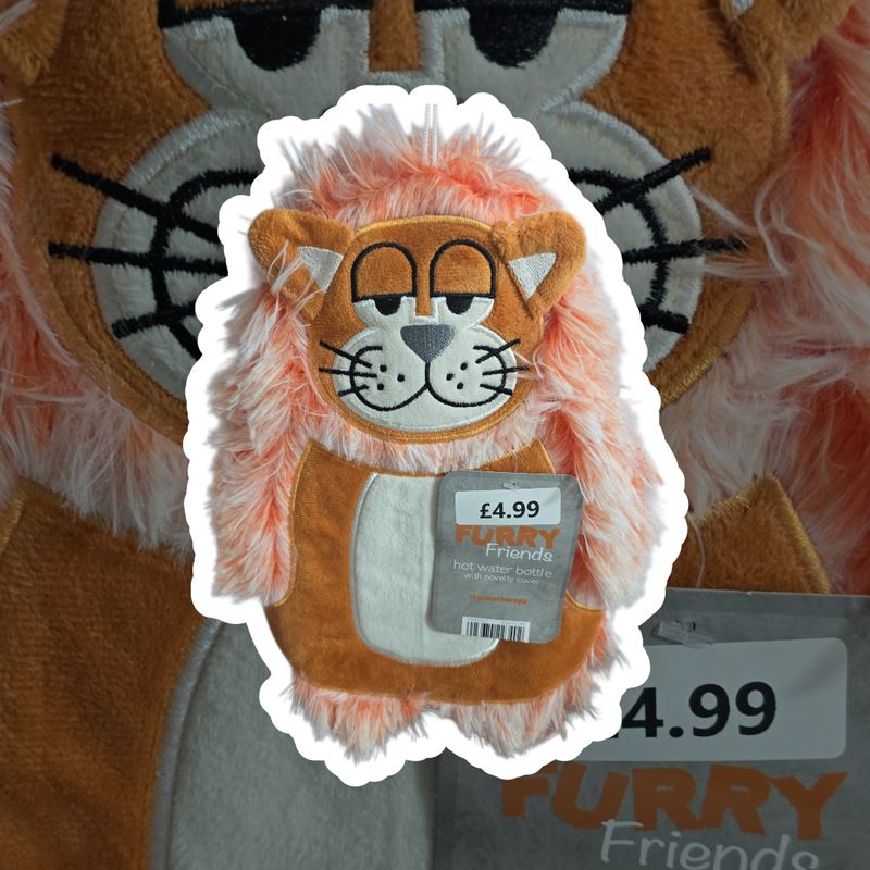 Furry Friends Hot water Bottle with Cover