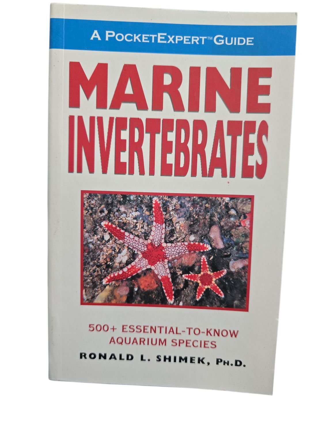 Marine Invertebrates A Pocket Expert Guide
