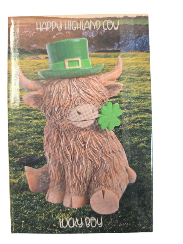 Highland Cow Lucky Boy