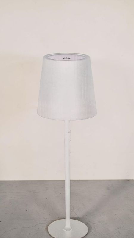 L&P Rechargeable Lamb