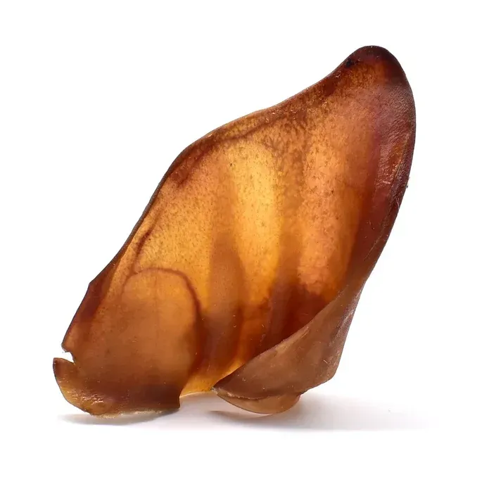 Natural Pig Ear