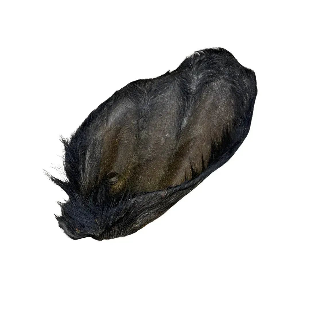 Natural Cow Ear With Fur