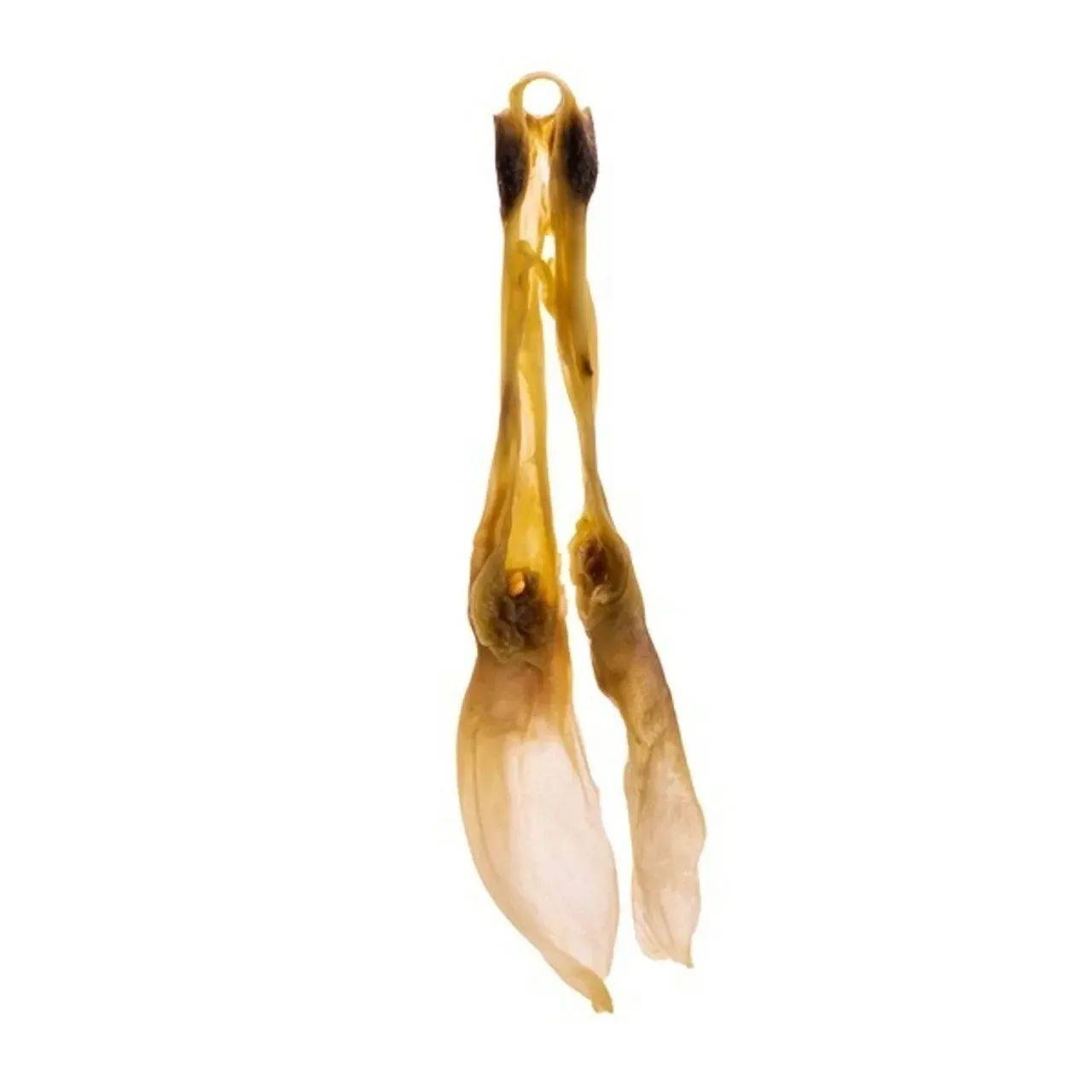 Natural Rabbit Ears Plain 2pk