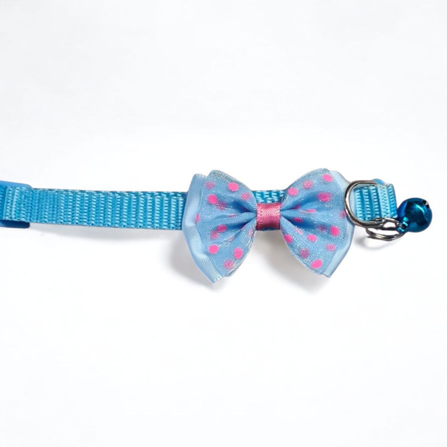 Muszka dla kota niebieska