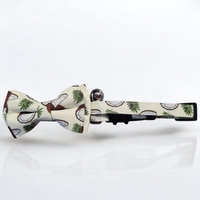 Muszka dla kota kokos