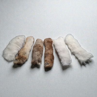 Naturalne kopacze Króliś