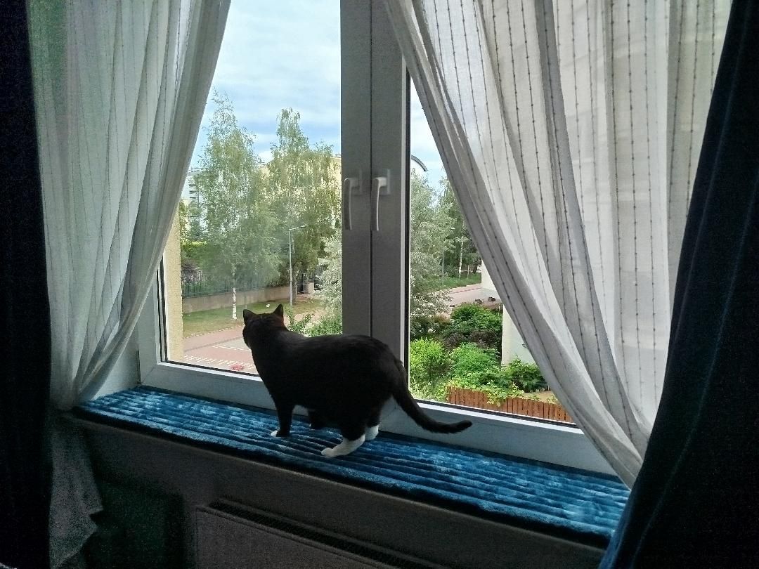 Parapetnik dla kota FluffyTail - puszyste legowisko na parapet I Meylumi