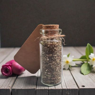 Kocimiętka Nepeta Cataria 5ml