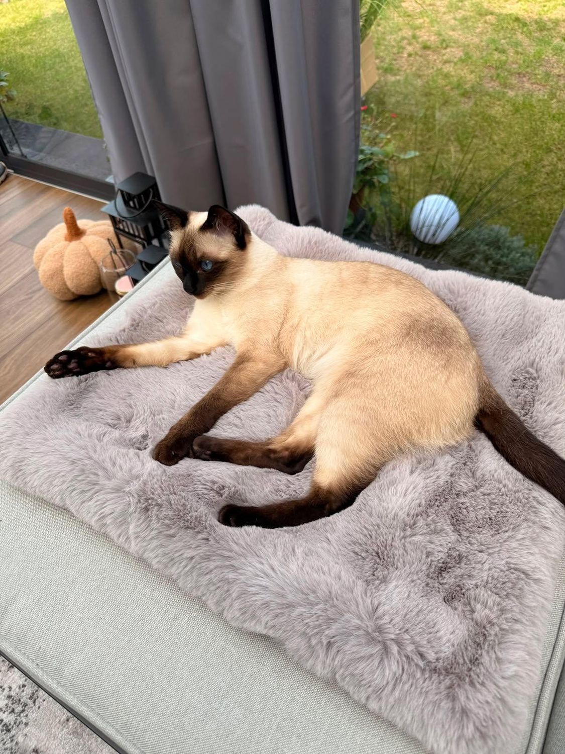 Kocyk dla kota puszysty i gruby HOT FLUFFY I Meylumi