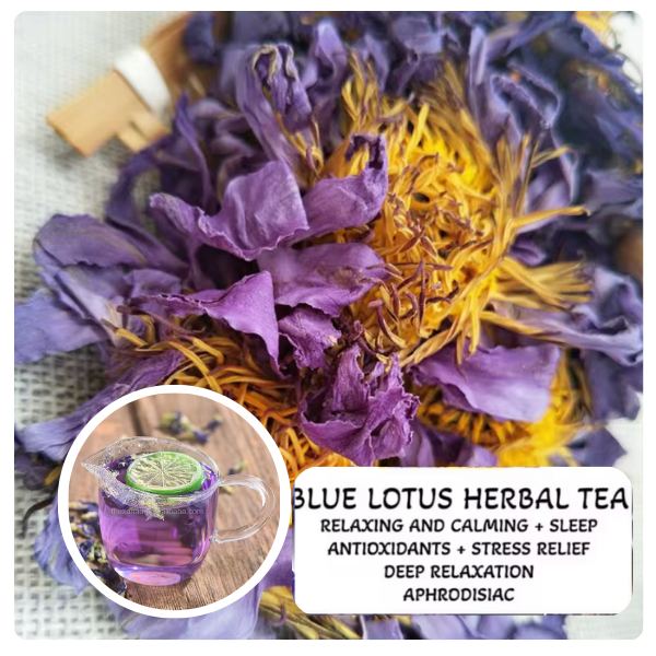 Wellness &amp; Fruit Infused Tea ✧ Pre-Order