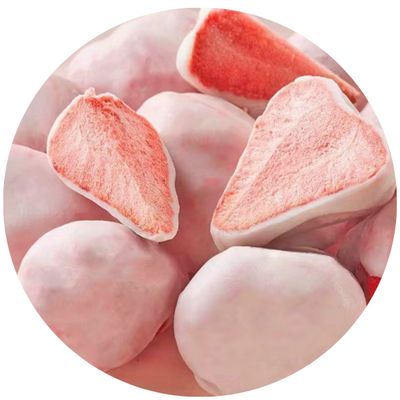 Yogurt Freeze Dried Strawberries (real item) ✧ Pre-Order