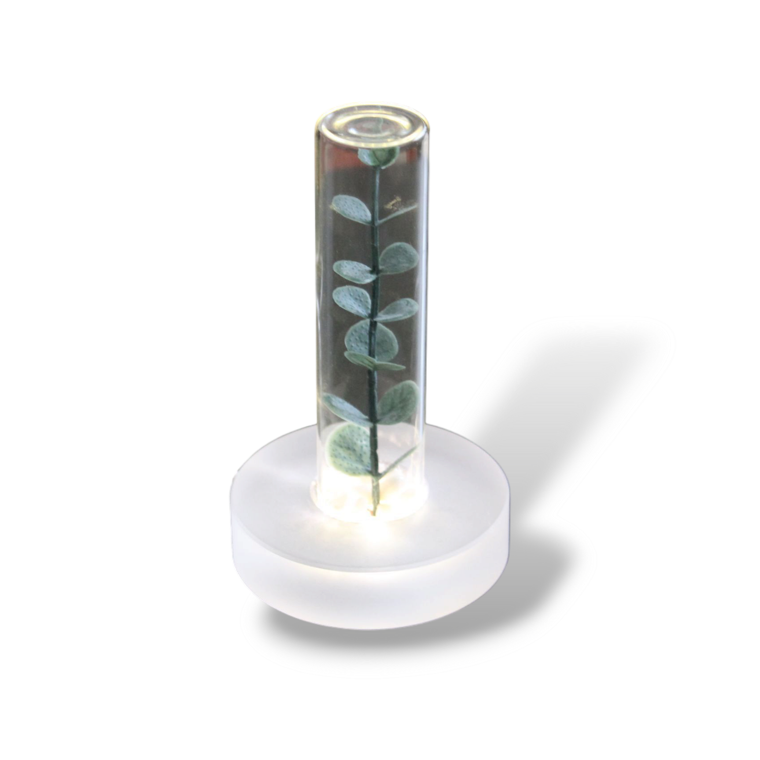 The Bloom | Glass NFC Display by TapSpot – Tap-to-Link Plant Stand with QR Card