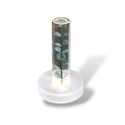 The Bloom | Glass NFC Display by TapSpot – Tap-to-Link Plant Stand with QR Card