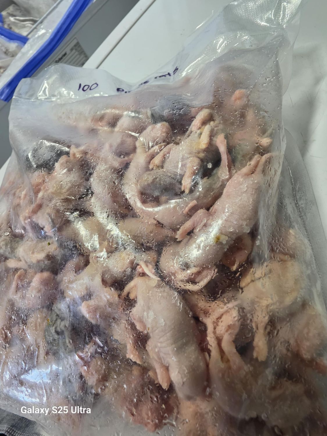 Pinky rats