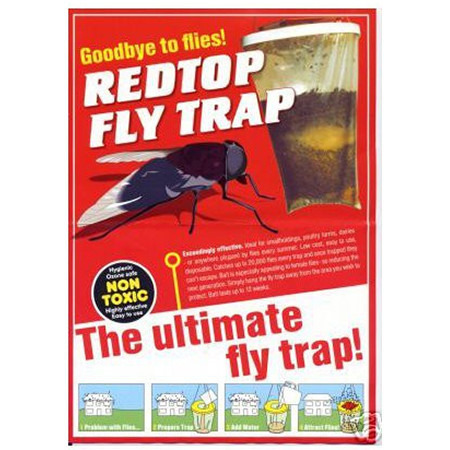natural fly trap
