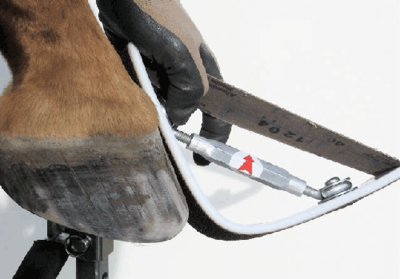 hoof buffer original