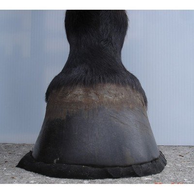 happyHoof pad - sinker