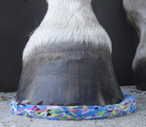 happyHoof pad - #6