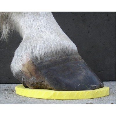 happyHoof pad - #8