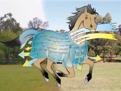 SALE!!! CoolHeat Pony/Young Horse (Neck Cover Included)