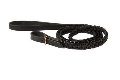 braided leather lead