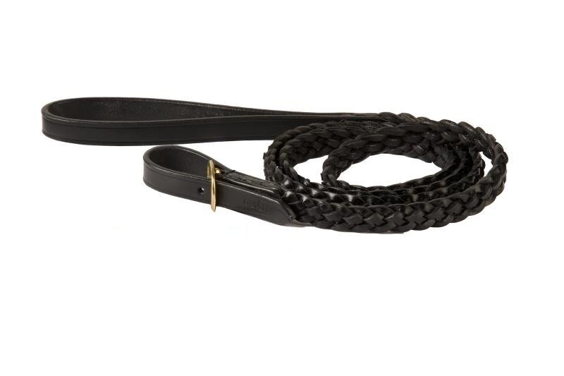 braided leather lead