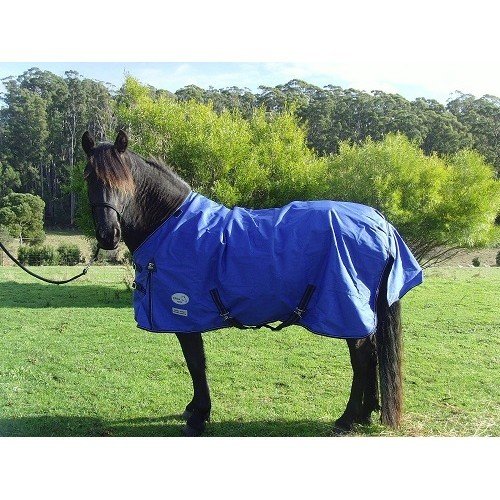 SALE!!! - CoolHeat Draft / Warmblood (Neck Cover Included)