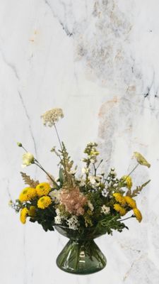 Little Sunshine Array