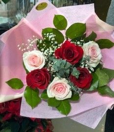 Valentine's Day Collection