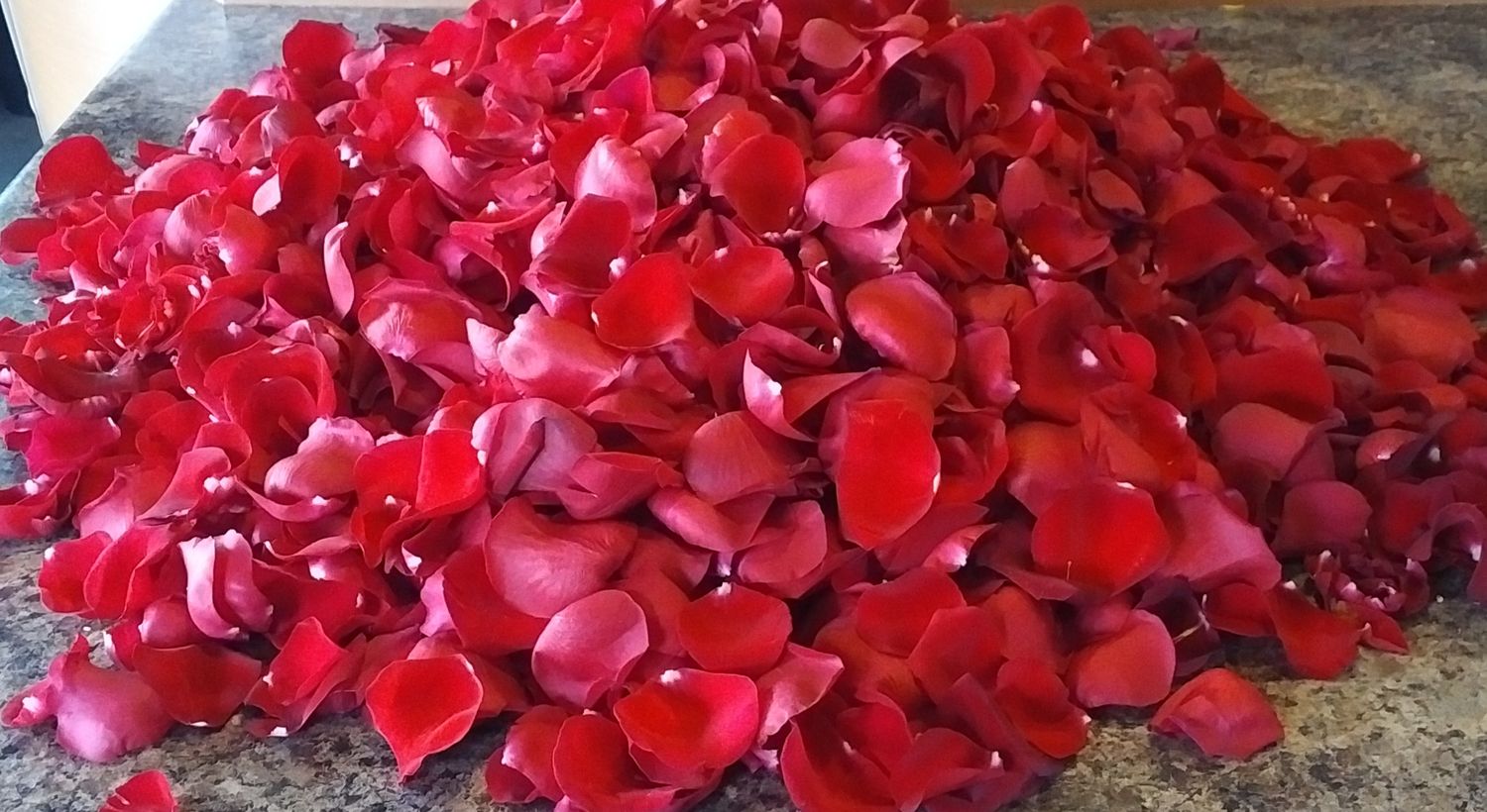 Rose Petals  Large Bag