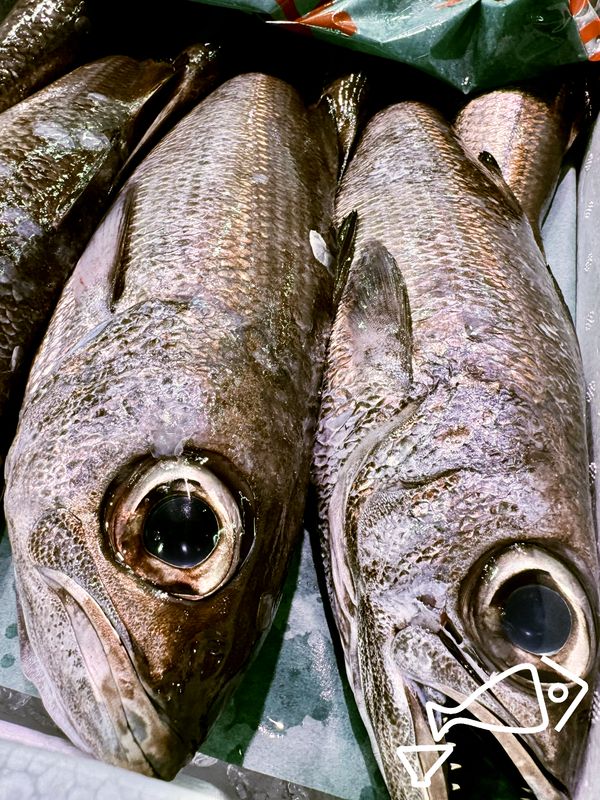 黒むつ　黒むつ