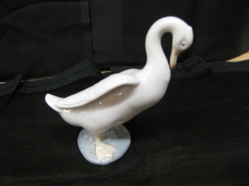 Nao Goose