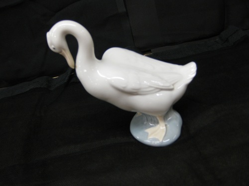 Nao Duck