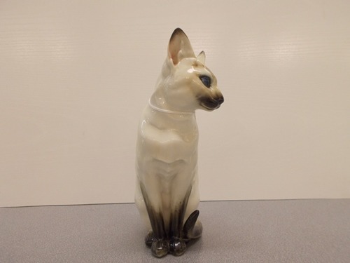 German Granet Siamese Cat