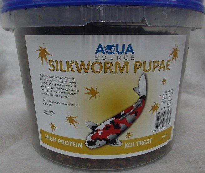silkworm pupae for koi