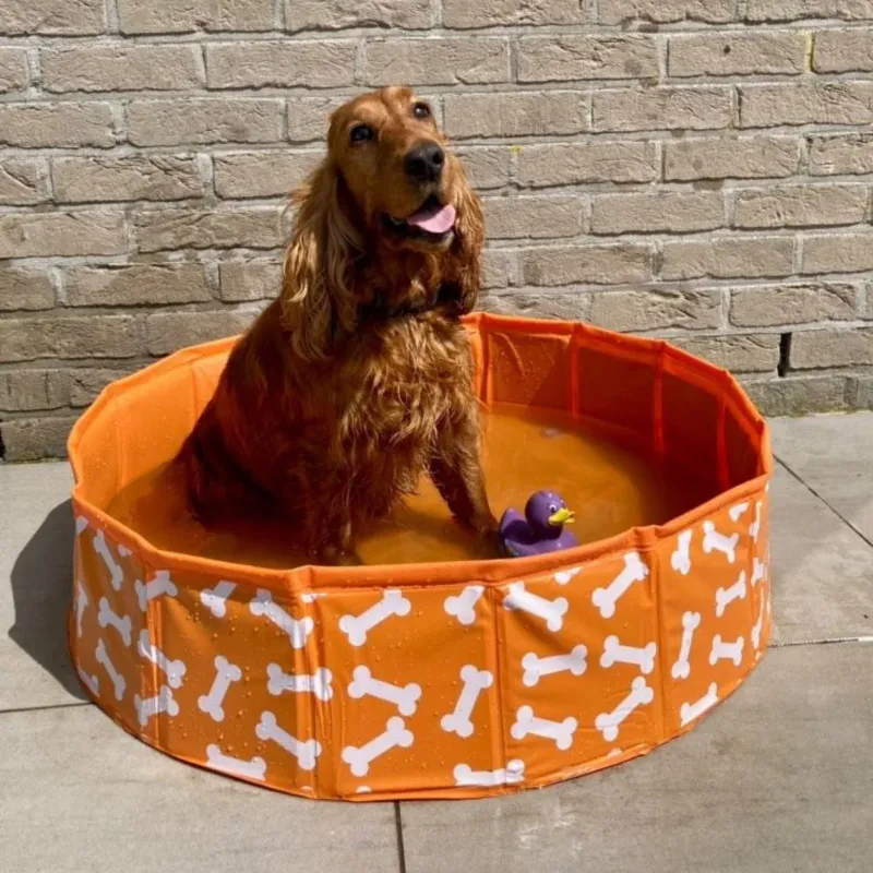 Bonebash | Naranja Piscina para perros Ø 80 cm