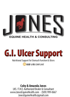 G.I. Ulcer Support