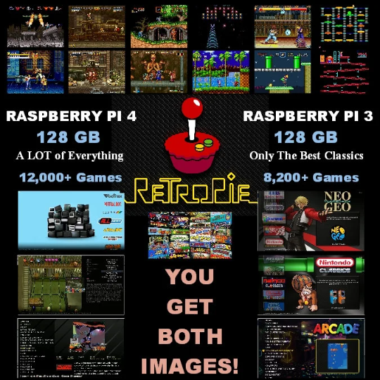 Retropie 128GB [Digital Download] for Raspberry PI 4 Retro Gaming *Box Art and Video Snap Previews *Arcade Console Portable - Fully Loaded