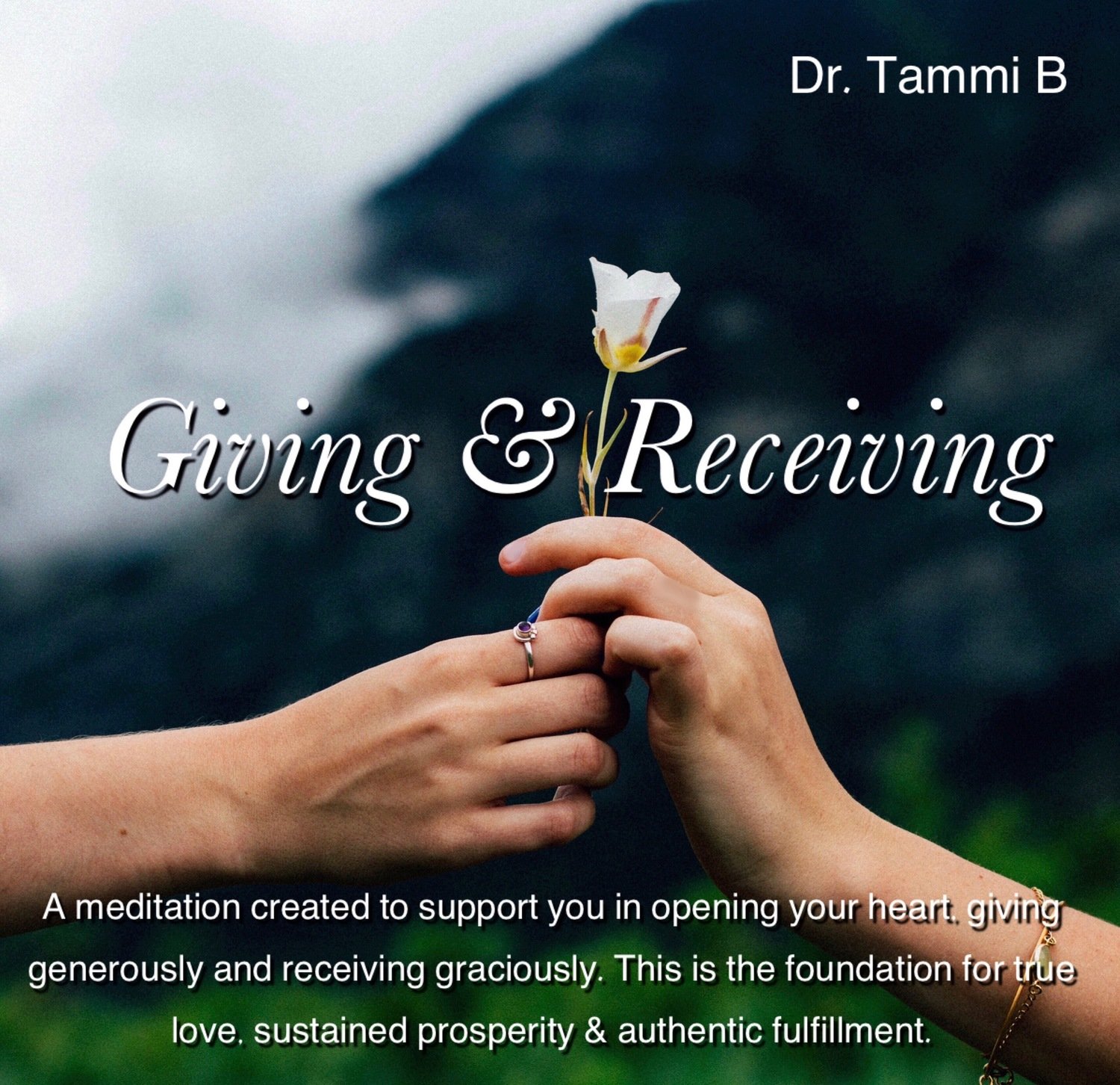 Giving and Receiving Meditation
