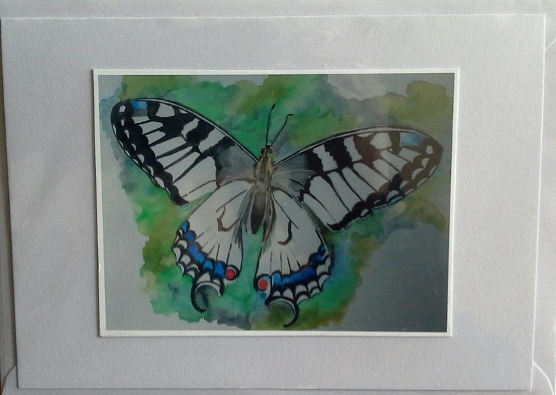Butterfly