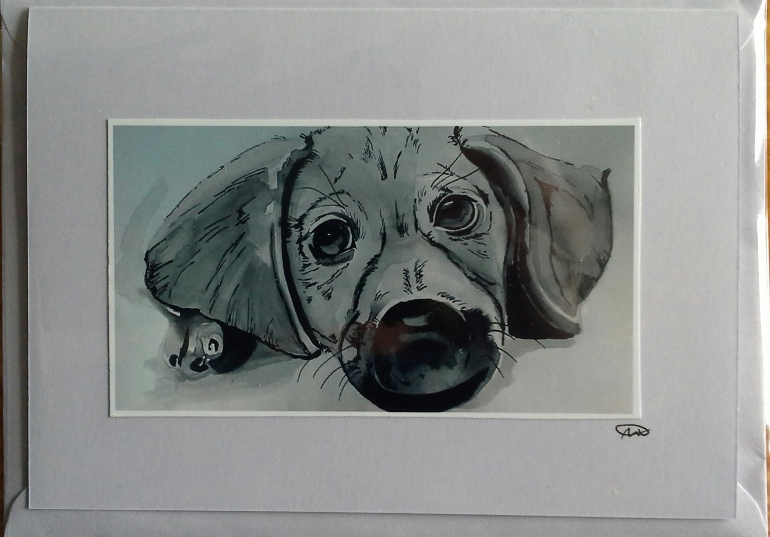 Puppy