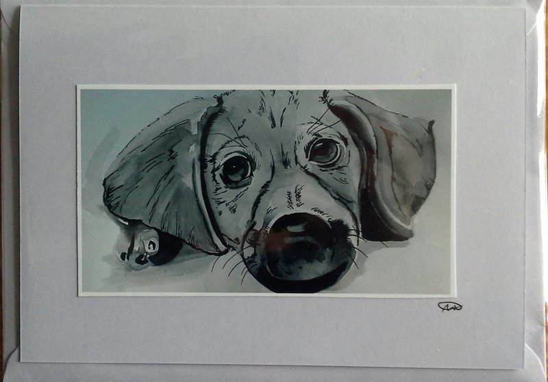 Puppy