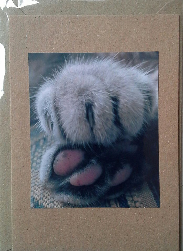 Paws
