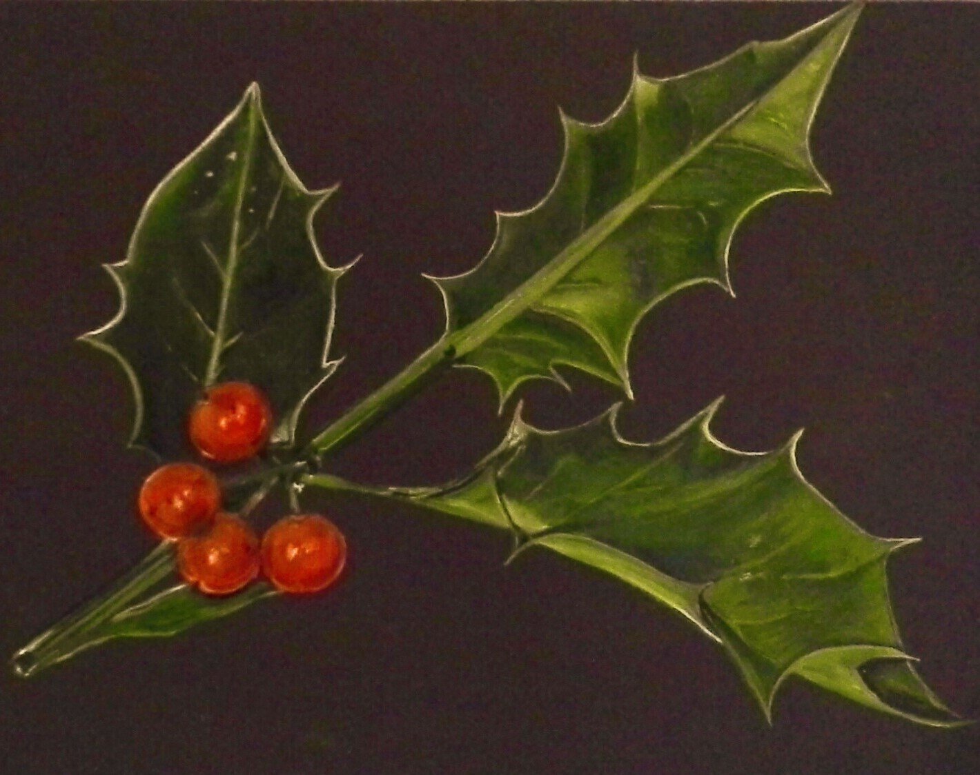 Holly