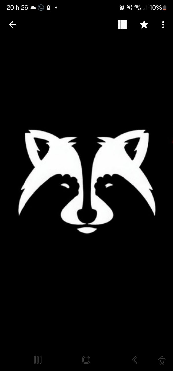 Pannel revendeur Raccoon Tv